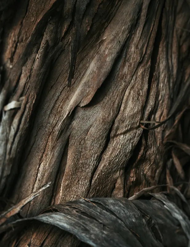 Vanilla Sandalwood 100 Ml Room Spray - Image 2